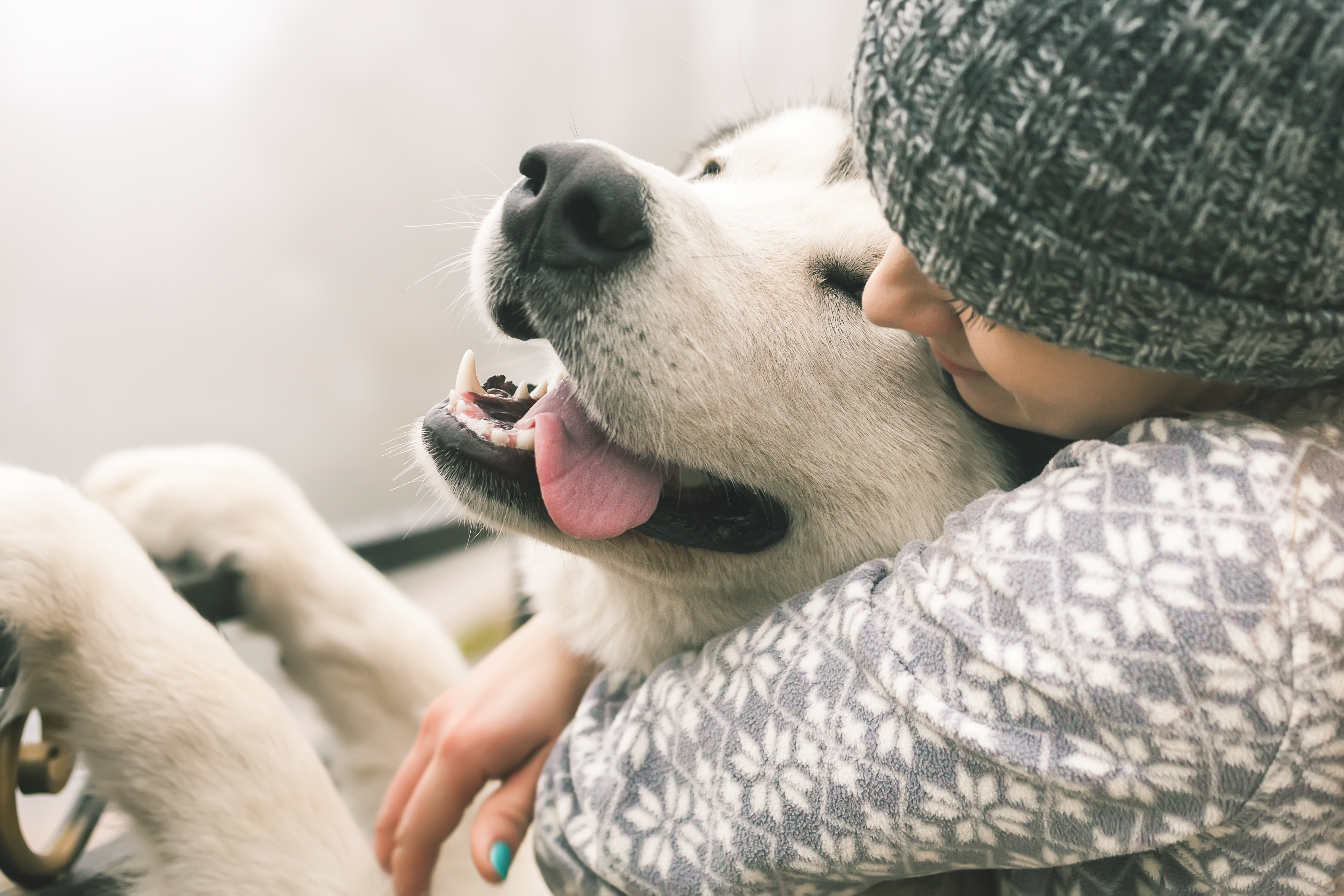 Girl hugging dog